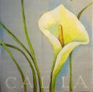 016 Calla - 3-ply (blue) - Atelier
