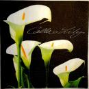 018 Calla - 3-ply (black) - Paper Design