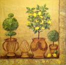 054 Lemons,  Oranges - 3 ply - Avant Garde