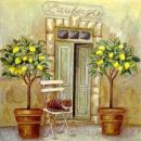 063 Lemons,  Oranges - 3-ply - Atelier