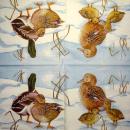 038 Ducks - 3-ply - MOLCA