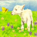 025 Sheep - 3-ply - Papstar