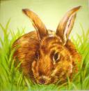 082 Rabbits:  natürlich - 3 ply