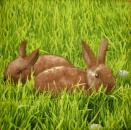 086 Rabbits:  natürlich - 3-ply - Avantgarde