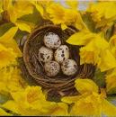 080 Eggs,  Easter Eggs - 3 ply - Paper Design
