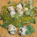 084 Eggs,  Easter Eggs - 3 ply - Atelier