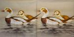 045 Ducks - 3-ply (brown) - Paw