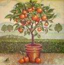 050 Lemons,  Oranges - 3-ply - Atelier
