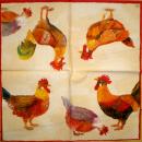064 Rooster,  Hen - 3-ply (cream) - Ihr
