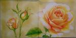 275 Roses - 3-ply (yellow) - Ihr