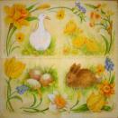049 Ducks - 3-ply - Stewo