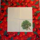 016 Cherries,  Plums - 3-ply