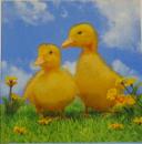 068 Ducks - 3-ply - Paper Design