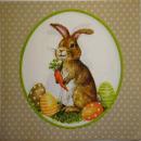 141 Rabbits:  natürlich - 3-ply (beige) - Atelier