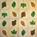 145 Plants - 3-ply - Ambiente