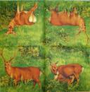 119 Deer - 3-ply - Ihr