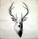 127 Deer - 3-ply