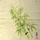 135 Asia - 3-ply (cream) - ppd