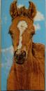 091 Horses - 4-ply - Sniff Handkerchief