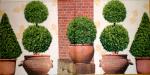 092 Garden - 3-ply - Home Fashion