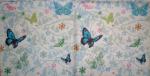 016 Butterflies