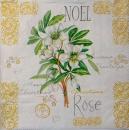 310 Roses - 3-ply - Ambiente