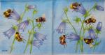 020 Insects - 3-ply - Ladies Mol / Molca