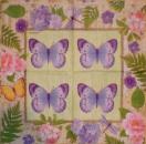 041 Butterflies - CS