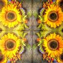 100 Sonnenblumen - 3-lagig - Home Fashion