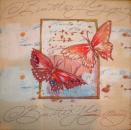 051 Butterflies - 3-ply (beige) - Home Fashion