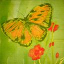 054 Butterflies - 3-ply