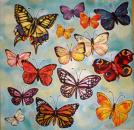 058 Butterflies - 3-ply