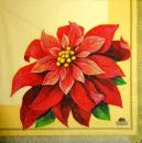 104 Christmas Flowers - 3-ply - Fasana - CS