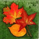 101 Autumn - 3-ply