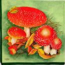 105 Autumn - 3-ply (gr�n) - Ambiente