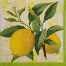 096 Lemons,  Oranges - 3-ply - Atelier - CS