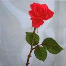 161 Rosen - 3-lagig (rot) - Avantgarde