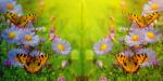 111 Butterflies - 3-ply - Ambiente