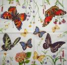 122 Butterflies - 3-ply - Maki