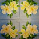 126 Magnolias - 3-ply