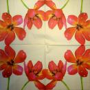 015 Tulpen - 3-lagig (creme)