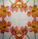 015 Tulpen - 3-lagig (rosa)