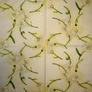 063 Daisies - 3-ply - Home Fashion - CS