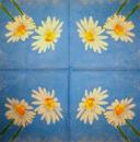 060 Daisies - 3-ply