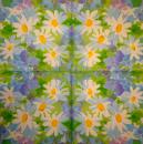 073 Margeriten - 3-lagig