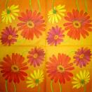 084 Daisies - 3-ply