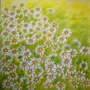 096 Daisies - 3-ply - Molca - Ladies Mol