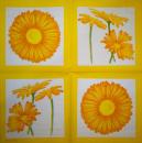 141 Daisies - 3-ply - (orange) - Molca