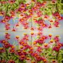 163 Daisies - 2-ply