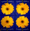 214 Daisies - 3-ply - Design House